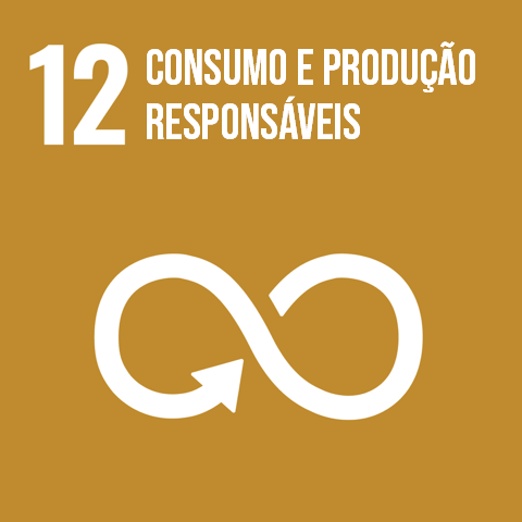 Goal 12 consumo e produção responsáveis