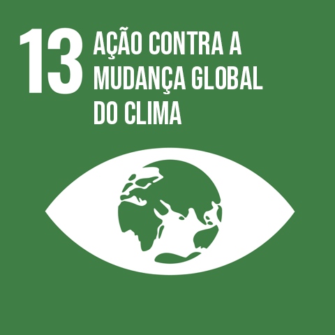 Goal 13 ação conta a mudança global do clima